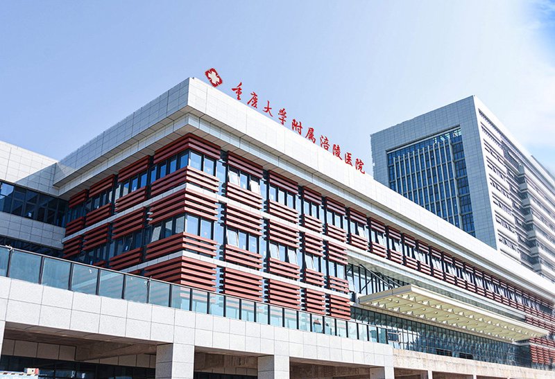 重庆网络科技行业的创新风向标